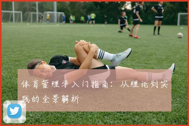 体育管理学入门指南：从理论到实践的全景解析